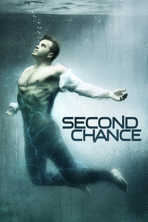 Pôster de Second Chance