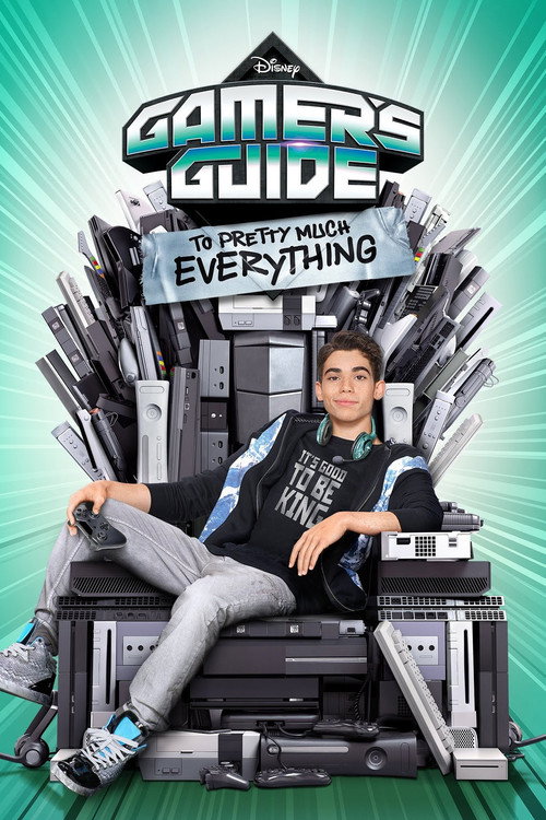Poster Gamer's Guide to Pretty Much Everything