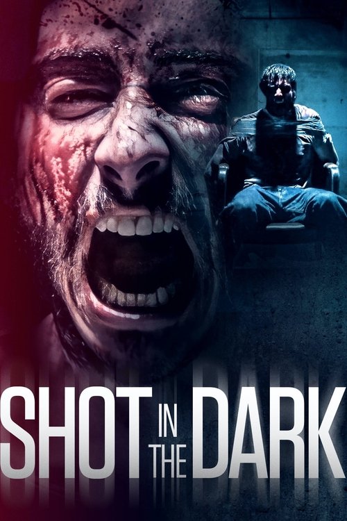 Poster Shot in the Dark