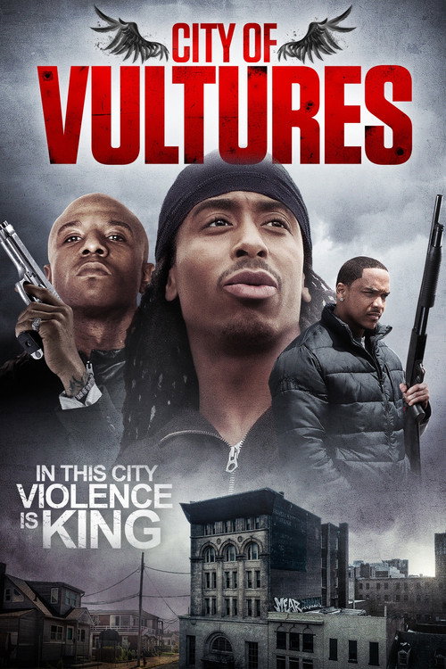 Poster City of Vultures