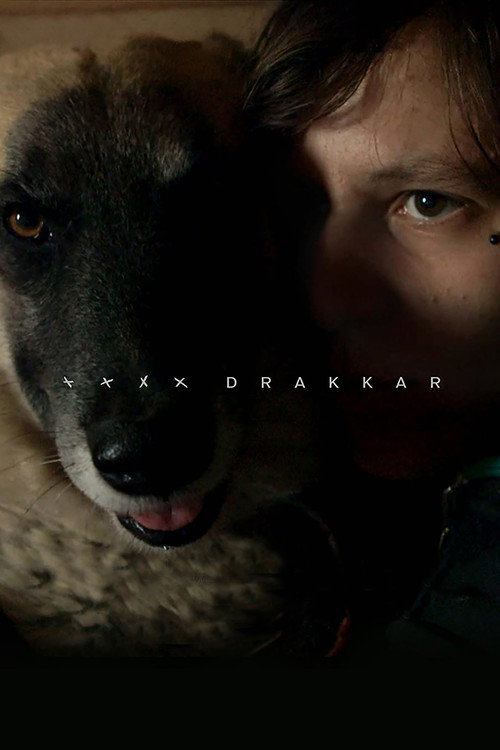 Poster Drakkar