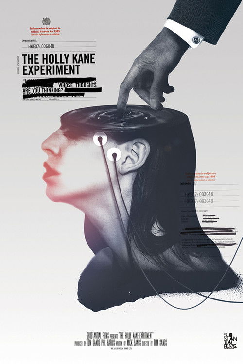 Poster The Holly Kane Experiment