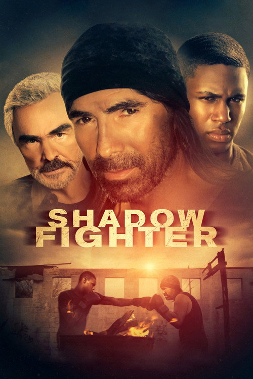 Poster Shadow Fighter