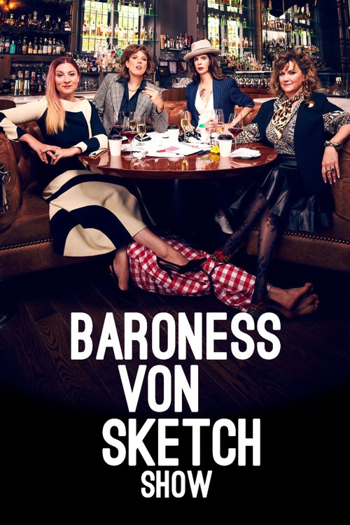 Pôster de Baroness Von Sketch Show