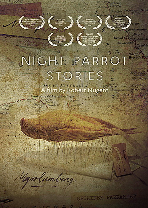 Poster Night Parrot Stories