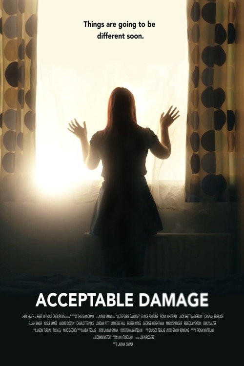 Poster Acceptable Damage