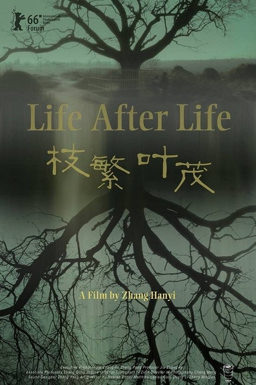 Poster Life After Life