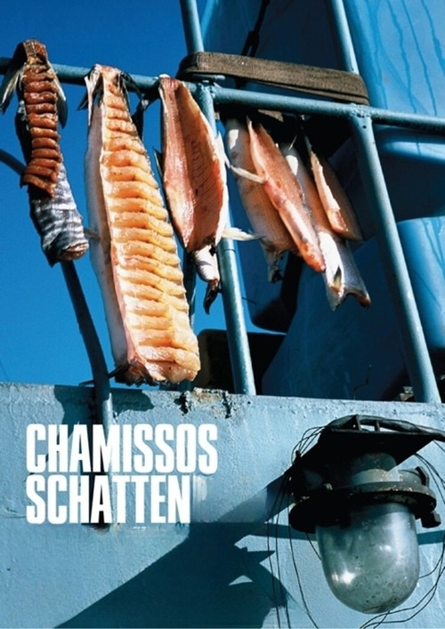 Chamisso's Shadow