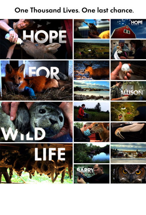 Poster Hope for Wildlife
