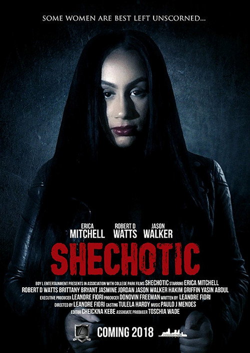 Poster SheChotic
