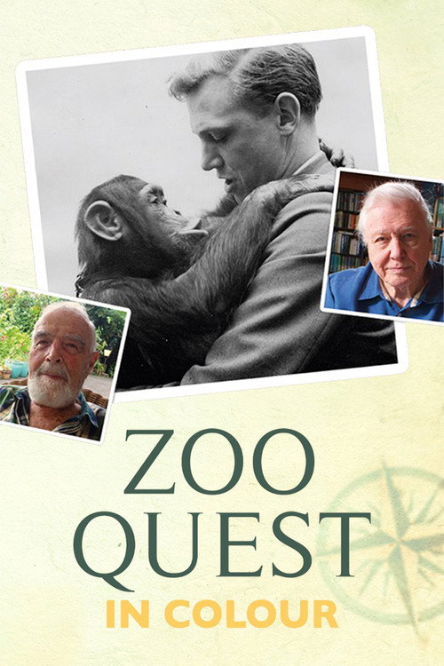 Poster Zoo Quest in Colour