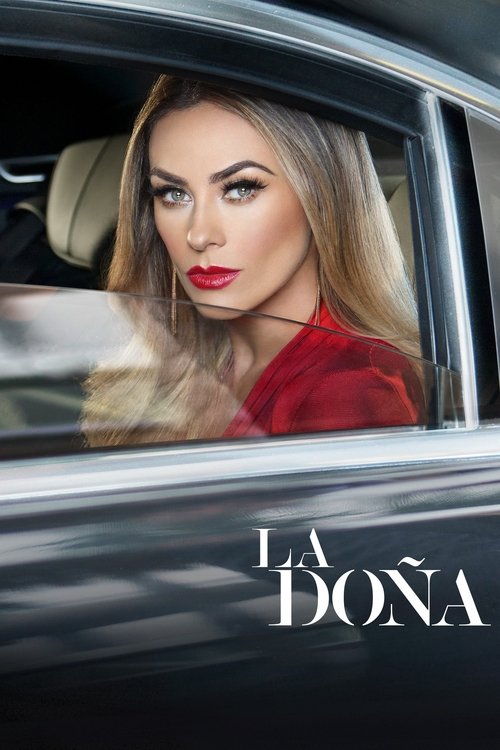 Poster Lady Altagracia
