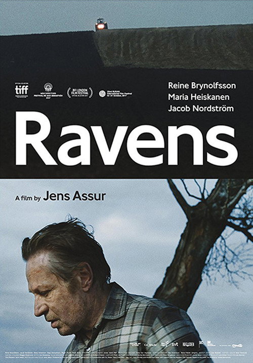 Poster Ravens