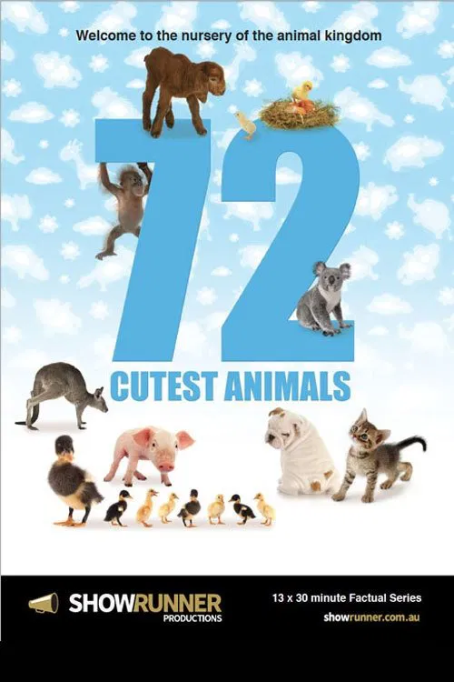 Poster 72 Cutest Animals