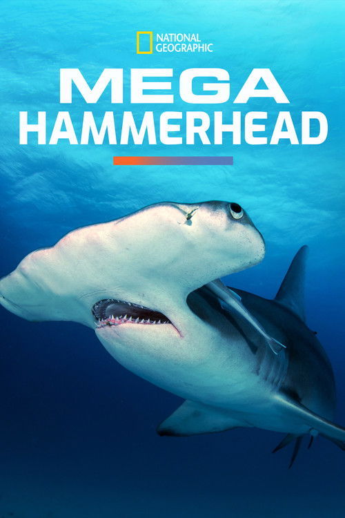 Poster Mega Hammerhead