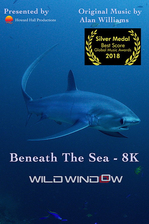 Wild Window: Bejeweled Fishes