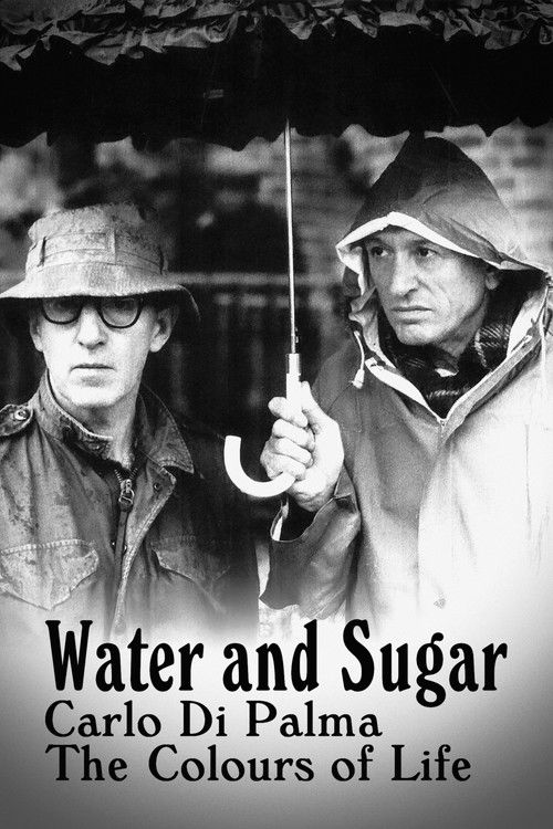 Water and Sugar: Carlo Di Palma, the Colours of Life