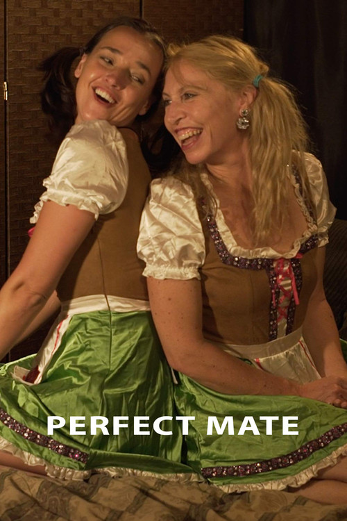Poster Perfect Mate