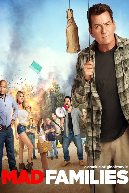 Poster Mad Families