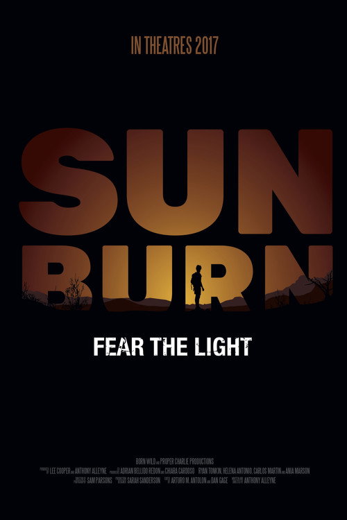 Poster Sunburn