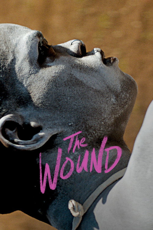 Poster The Wound