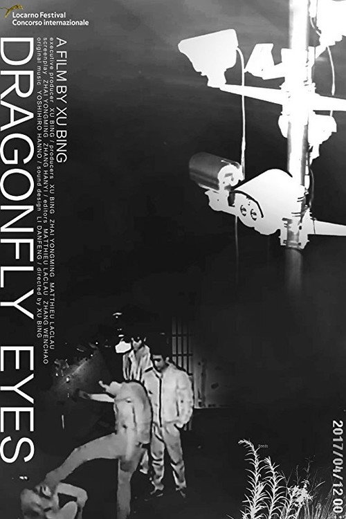 Poster Dragonfly Eyes