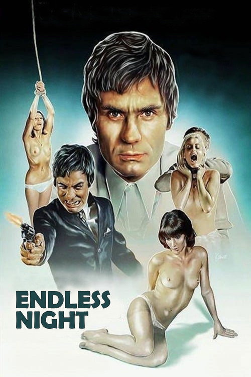 Poster Endless Night