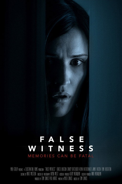 Poster False Witness
