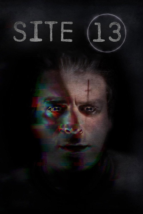 Poster Site 13