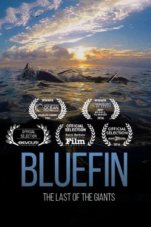 Poster Bluefin