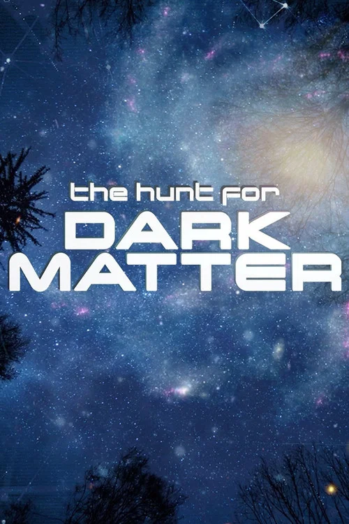 Poster The Hunt for Dark Matter