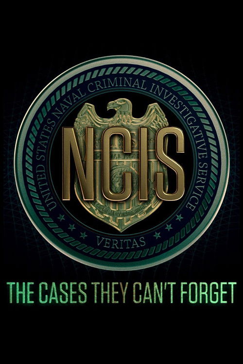 Poster NCIS: The Cases They Can't Forget