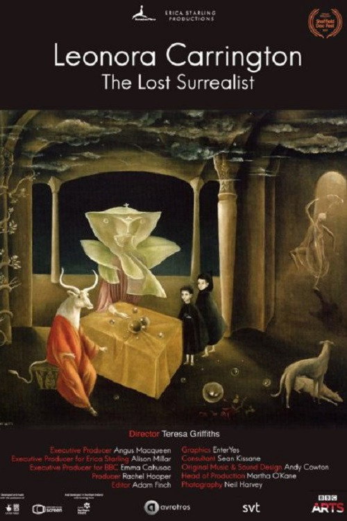 Poster The Lost Surrealist