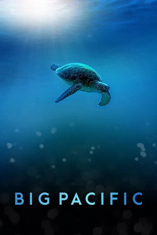 Poster Big Pacific