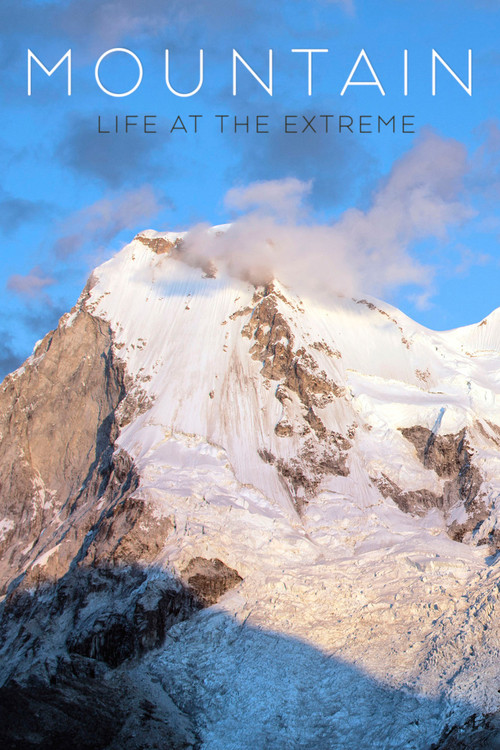 Poster Kingdoms of the Sky