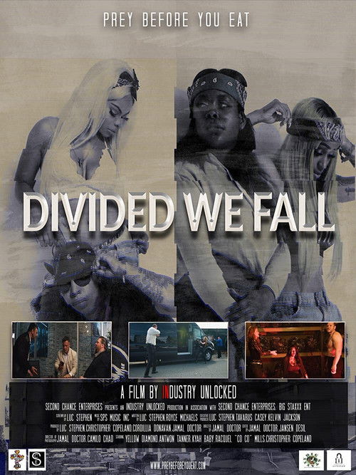 Poster Divided We Fall