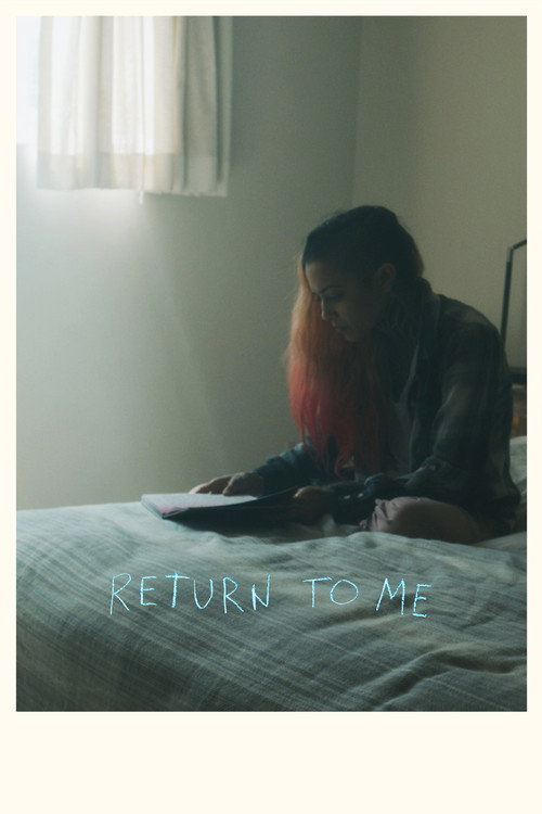Poster Return to Me