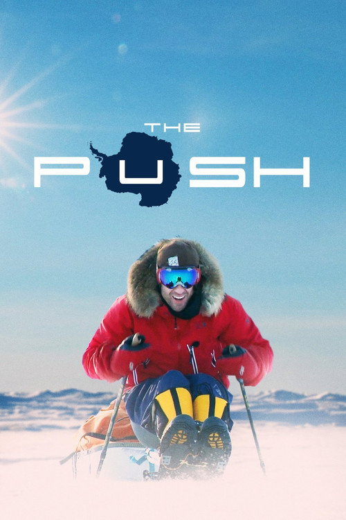 Poster The Push: Owning Your Reality Is Where the Journey Begins