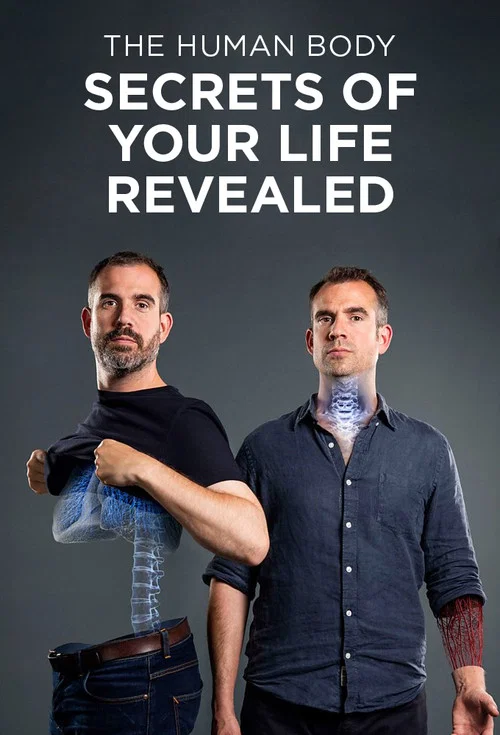 Poster The Human Body: Secrets of Your Life Revealed