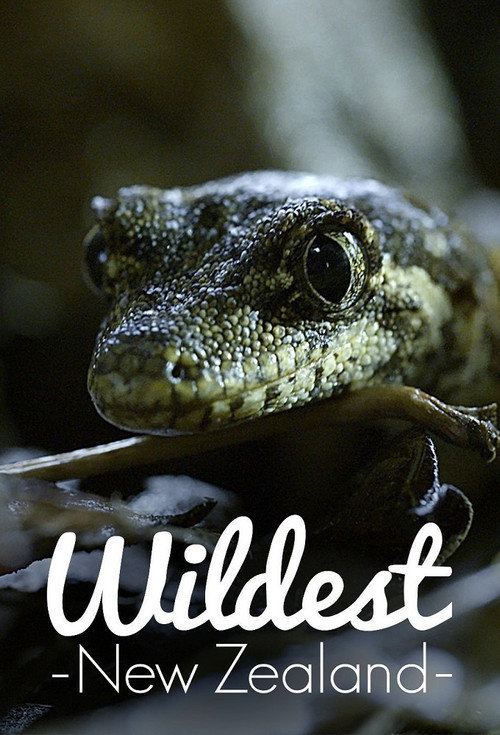 Poster Wildest New Zealand
