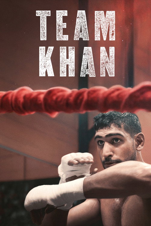 Poster Team Khan