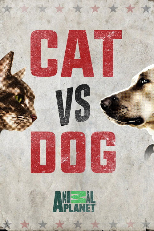 Poster Cat Vs. Dog