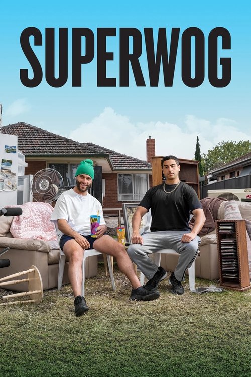Pôster de Superwog