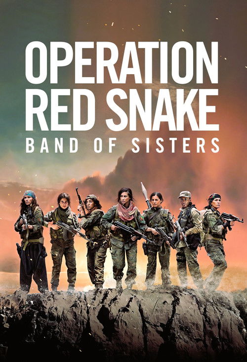 Poster Sisters in Arms