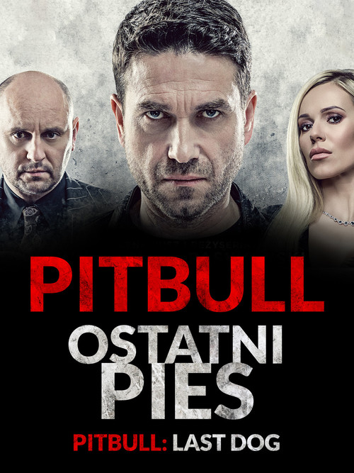 Pitbull. Ostatni Pies