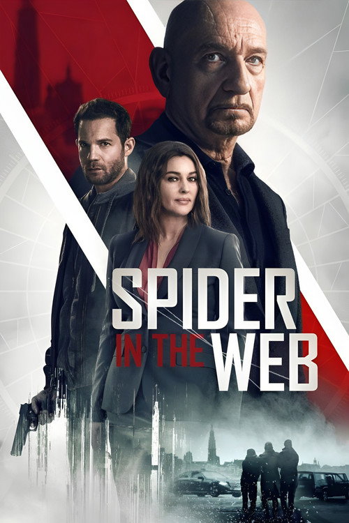 Poster Spider in the Web