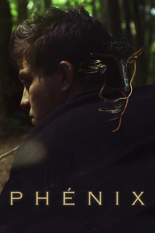 Poster The Phoenix