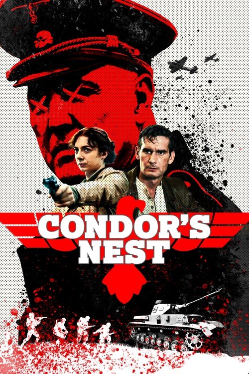 Poster Condor's Nest