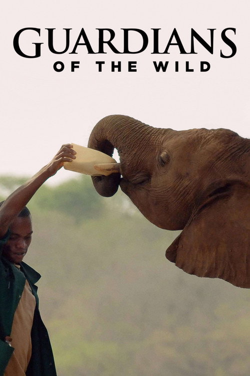 Poster Guardians of the Wild