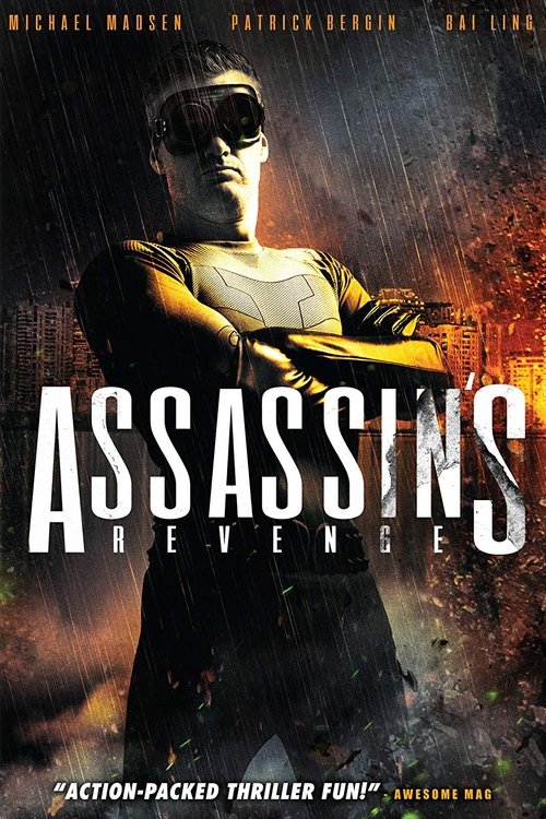 Poster Assassins Revenge